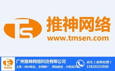 推神网络 网站推广价格 汕头网站推广