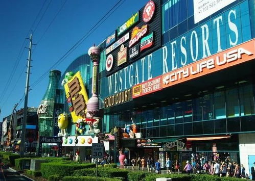 去拉斯维加斯怎么玩