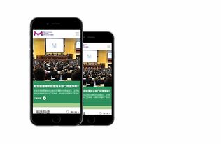 默克blog 高端网站建设案例 上海雍熙