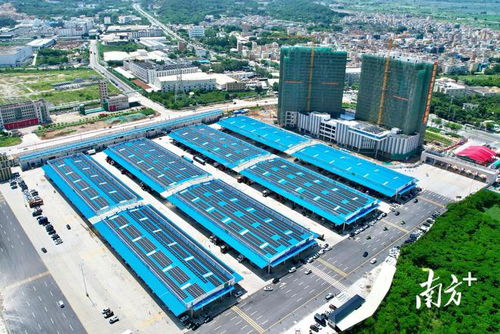 粤东江南国际农产品交易中心试运营,汕头金平加快建设商贸高地